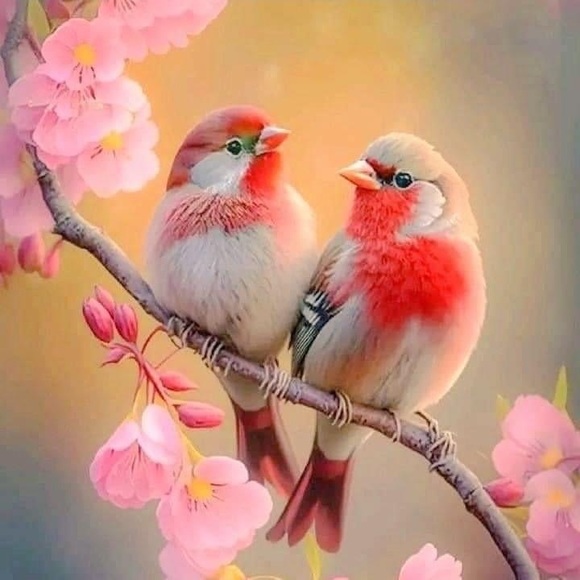 Meet your Posher, Argo - Picture 1 of 1